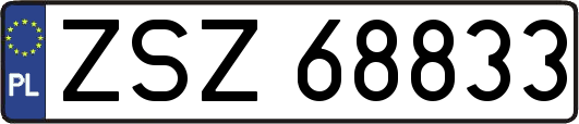 ZSZ68833