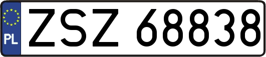ZSZ68838