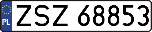 ZSZ68853