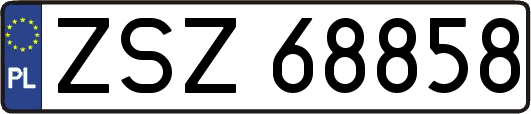 ZSZ68858