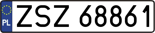 ZSZ68861