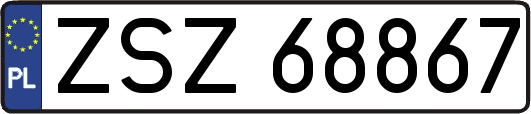 ZSZ68867