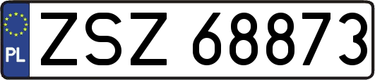 ZSZ68873
