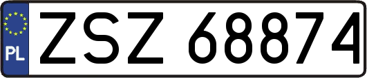 ZSZ68874