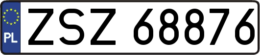 ZSZ68876