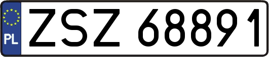 ZSZ68891