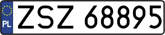 ZSZ68895