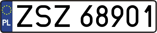 ZSZ68901