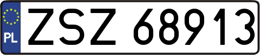 ZSZ68913