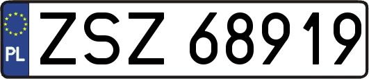 ZSZ68919