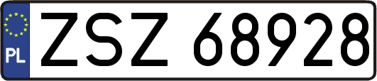 ZSZ68928