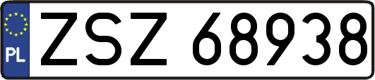 ZSZ68938