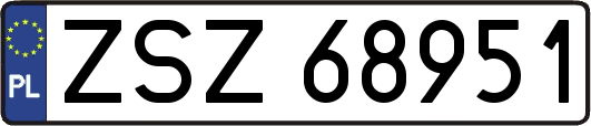 ZSZ68951
