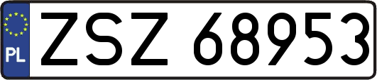 ZSZ68953