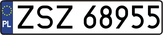 ZSZ68955
