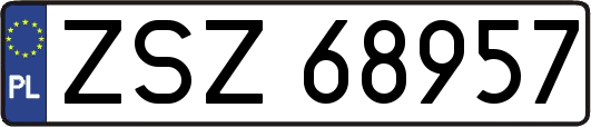 ZSZ68957