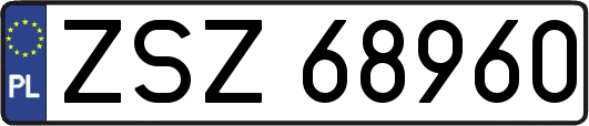 ZSZ68960