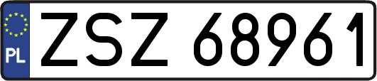 ZSZ68961