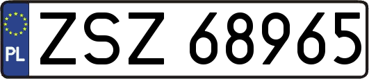 ZSZ68965