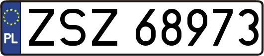 ZSZ68973