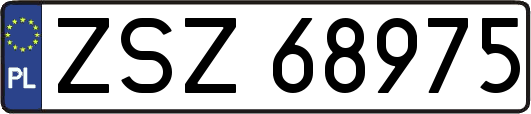 ZSZ68975