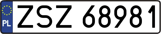 ZSZ68981