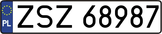 ZSZ68987