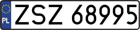 ZSZ68995