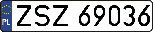 ZSZ69036