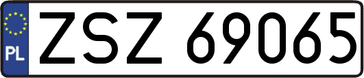 ZSZ69065