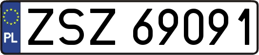 ZSZ69091