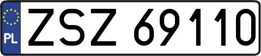 ZSZ69110