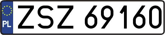 ZSZ69160