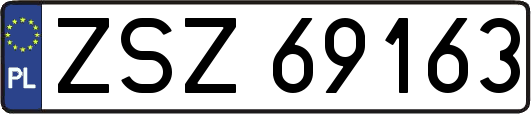 ZSZ69163