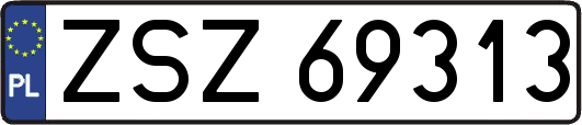 ZSZ69313