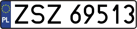 ZSZ69513