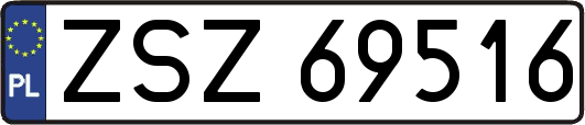 ZSZ69516