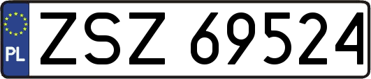 ZSZ69524