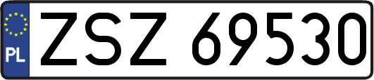 ZSZ69530
