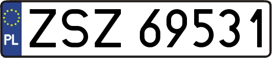 ZSZ69531