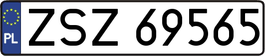 ZSZ69565