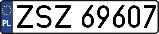 ZSZ69607