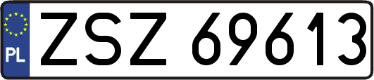 ZSZ69613