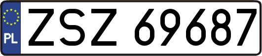 ZSZ69687
