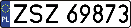 ZSZ69873
