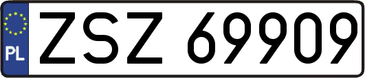 ZSZ69909