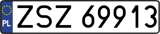 ZSZ69913