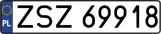 ZSZ69918