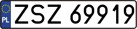 ZSZ69919