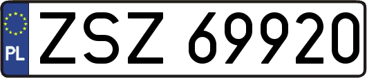 ZSZ69920